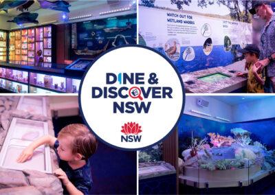 Dine and Discover Vouchers