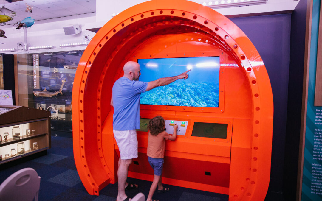 Diving Into Discovery: The Interactive Zones of the Marine Discovery Centre